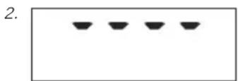 SOEHNLE Body Balance Shape F3 - MnV  ατα - 2