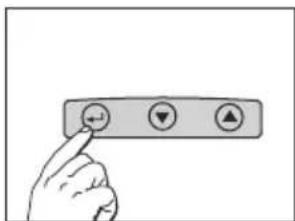 SOEHNLE Body Balance Shape F3 - Adatok bevitele - 2