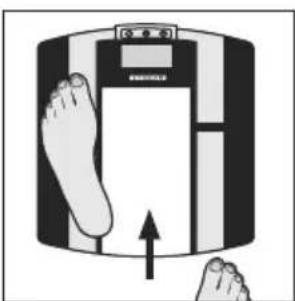 SOEHNLE Body Balance Shape F3 - Karta gwarancyjna - 6