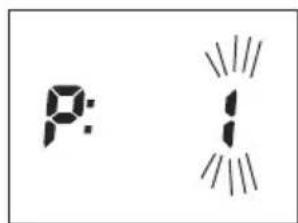 SOEHNLE Body Balance Shape F3 - Entrada de datos - 3