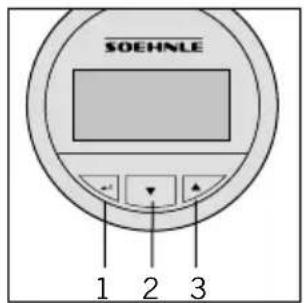 SOEHNLE Body Balance Shape F4 - Пример: - 1