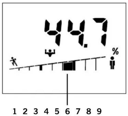 SOEHNLE Body Balance Shape F4 - Example: - 1