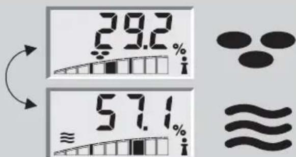 SOEHNLE Body Balance Pacific - Analýza těla - 2