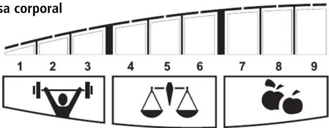 SOEHNLE Body Balance Pacific - Porción de grasa corporal - 2