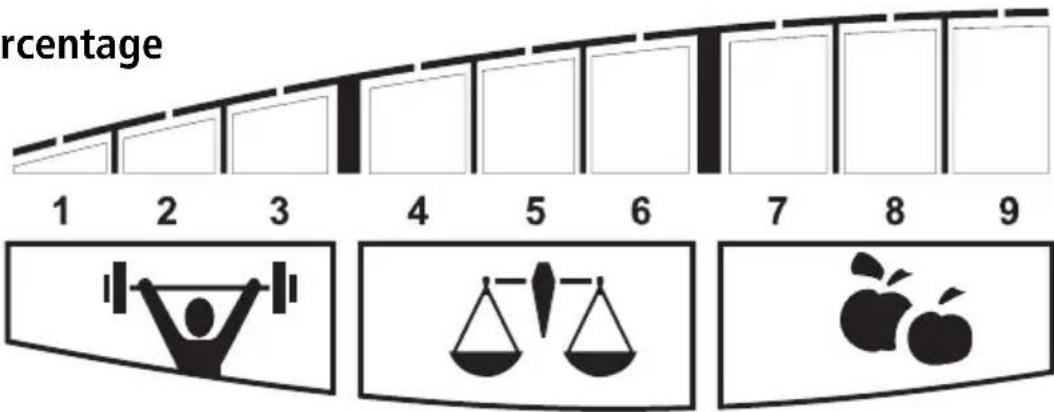 SOEHNLE Body Balance Pacific - Lichaamsvetpercentage - 2