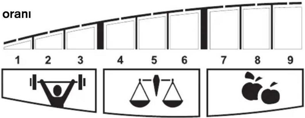 SOEHNLE Body Balance Pacific - Özel tavsiye - 2