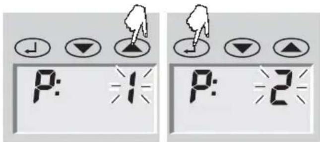 SOEHNLE Body Balance Pacific - Gegevensinvoer - 1