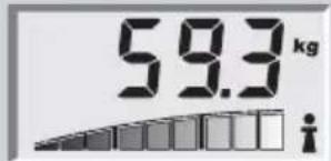 SOEHNLE Body Balance Pacific - Telesna analiza - 1