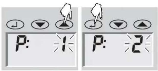 SOEHNLE Body Balance Pacific - Preparação - 6