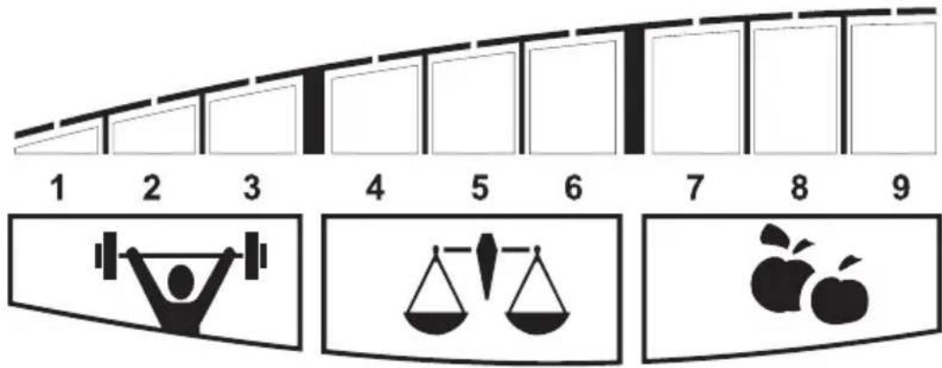 SOEHNLE Body Balance Pacific - Testzsirtomeg - 2