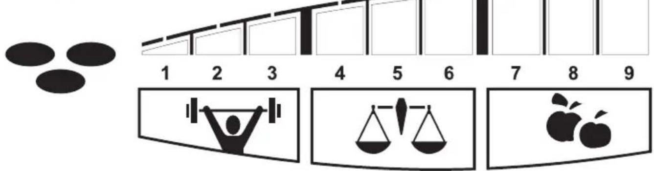 SOEHNLE Body Balance Pacific - Individuálí doporučeni - 1