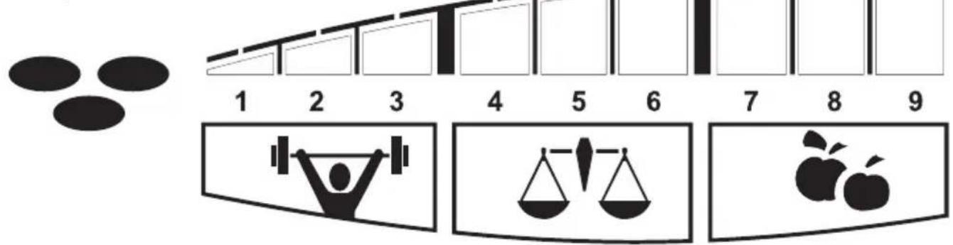 SOEHNLE Body Balance Pacific - Individual anbefaling - 1