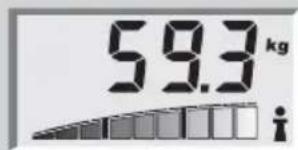 SOEHNLE Body Balance Pacific - Body monitoring - 1