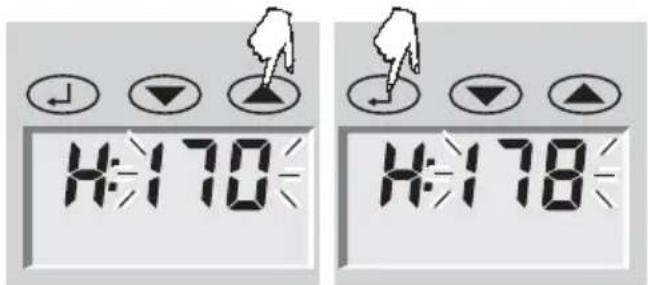 SOEHNLE Body Balance Pacific - Vpis podatkov - 2