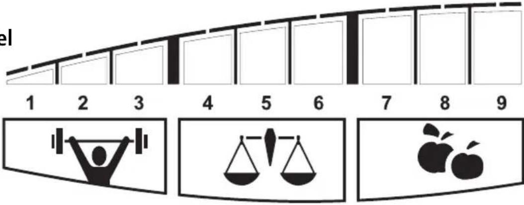 SOEHNLE Body Balance Pacific - Kroppsfettandel - 2