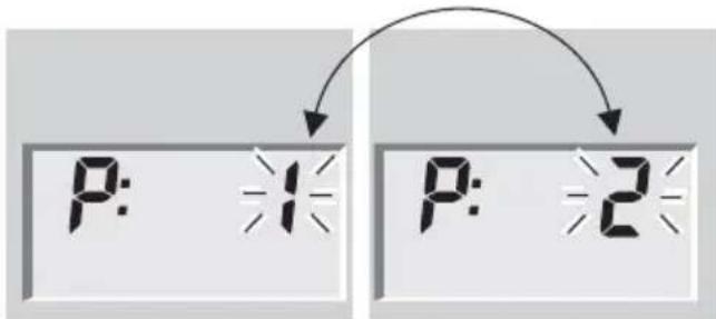 SOEHNLE Body Balance Pacific - Telesna analiza - 3