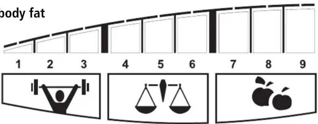 SOEHNLE Body Balance Pacific - Percentage of body fat - 2