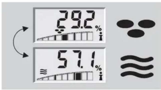 SOEHNLE Body Balance Pacific - Kropsanalyse - 2