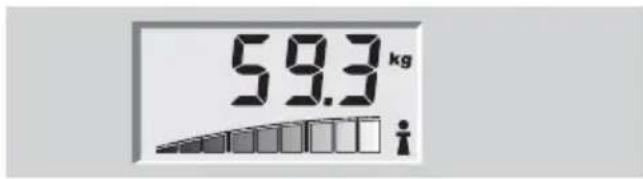 SOEHNLE Body Balance Pacific - Kropsanalyse - 1