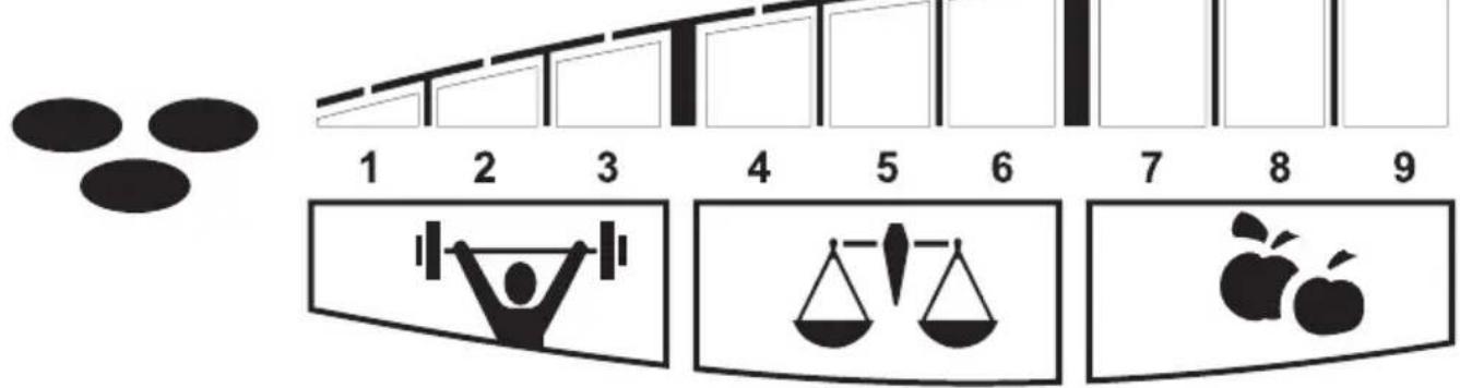 SOEHNLE Body Balance Pacific - Aconselhoamento individual - 1