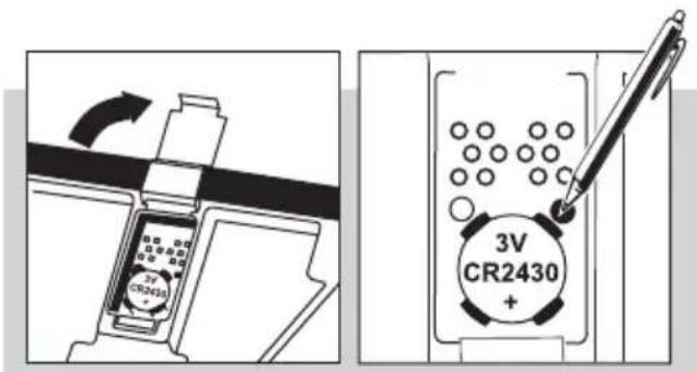 SOEHNLE Body Balance Pacific - Preparación - 6