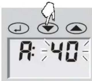 SOEHNLE Body Balance Pacific - Tietosyöttö - 3