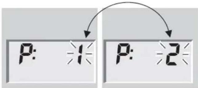 SOEHNLE Body Balance Pacific - Analisis corporal - 3