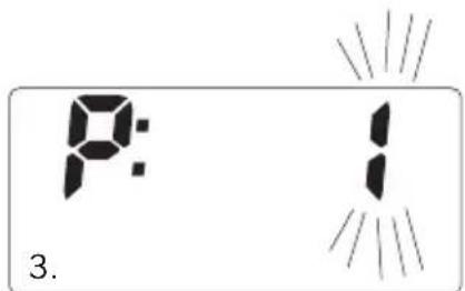 SOEHNLE Body Balance Slim F5 - SAISIE DE DONNÉES - 2