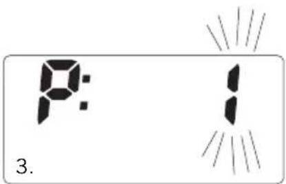 SOEHNLE Body Balance Slim F5 - INDTRODUCAO DE DADOS - 2