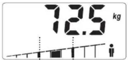 SOEHNLE Body Balance Slim F5 - INSKRIVNING AV DATA - 7