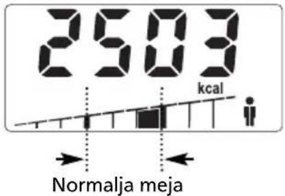 SOEHNLE Body Balance Slim F5 - VPIS PODATKOV - 11