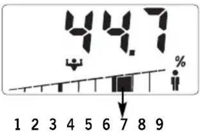 SOEHNLE Body Balance Slim F5 - Voorbeeld : - 1