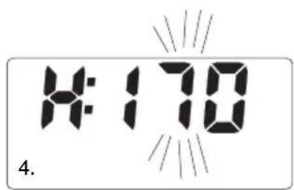 SOEHNLE Body Balance Slim F5 - Verigiri - 3