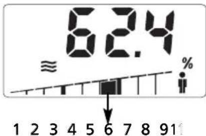 SOEHNLE Body Balance Slim F5 - KPODIL TELESNEHO TUKU - 1