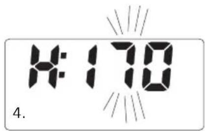 SOEHNLE Body Balance Slim F5 - IMMISSIONE DATI - 3