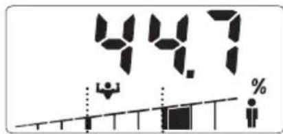 SOEHNLE Body Balance Slim F5 - INDTRODUCAO DE DADOS - 10