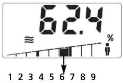 SOEHNLE Body Balance Slim F5 - USTROJOWEGO - 1