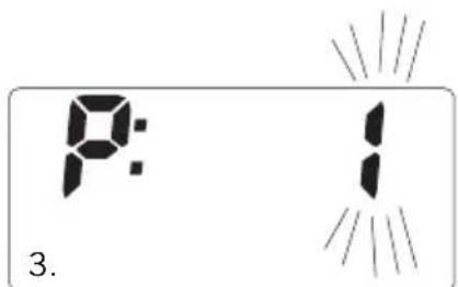 SOEHNLE Body Balance Slim F5 - INSKRIVNING AV DATA - 2