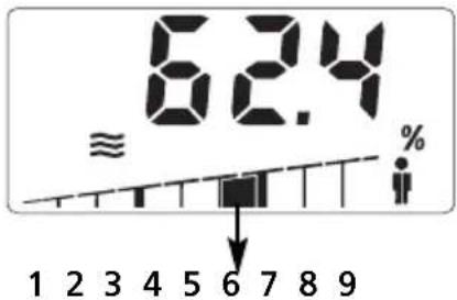 SOEHNLE Body Balance Slim F5 - DELEZ VODEV TELESU - 1