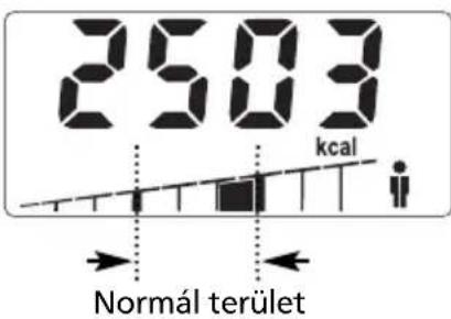 SOEHNLE Body Balance Slim F5 - ADATOK BEVITELE - 11