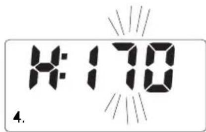 SOEHNLE Body Balance Slim F5 - BbOaHHbIX - 3