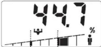 SOEHNLE Body Balance Slim F5 - TIEDONSYÖTTÖ - 10