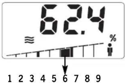SOEHNLE Body Balance Slim F5 - PROPORTION OF BODY WATER - 1