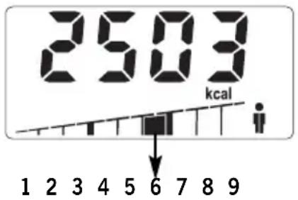 SOEHNLE Body Balance Slim F5 - ENERGIEVERBRAUCH - 1