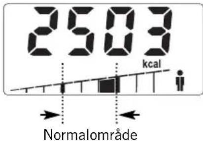 SOEHNLE Body Balance Slim F5 - DATAINLAESNING - 11
