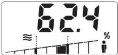 SOEHNLE Body Balance Slim F5 - GEGEVENSINVOER - 10