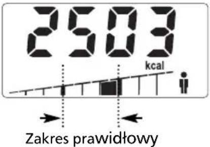SOEHNLE Body Balance Slim F5 - WPROWADZANIE DANYCH - 11
