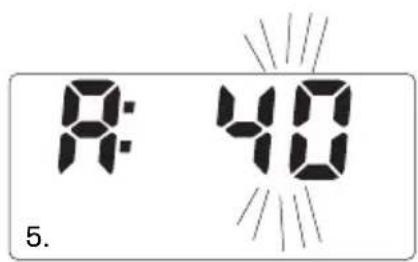 SOEHNLE Body Balance Slim F5 - Verigiri - 4