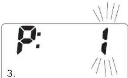 SOEHNLE Body Balance Slim F5 - TIEDONSYÖTTÖ - 2