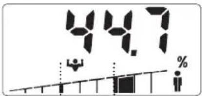 SOEHNLE Body Balance Slim F5 - WPROWADZANIE DANYCH - 10